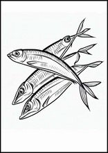 沙丁魚1