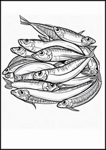 Sardinas - Animales2