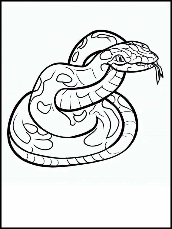 Slangen - Dieren 1