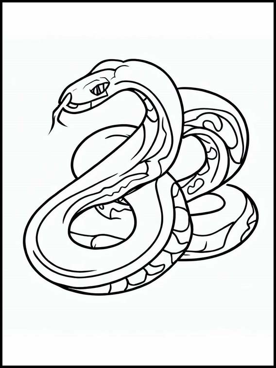 Serpientes - Animales 2