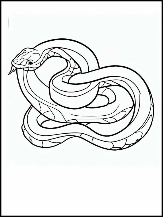 ヘビ - 動物 3