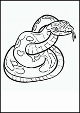 Serpentes - Animais1