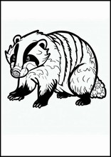 Badgers - Animals4