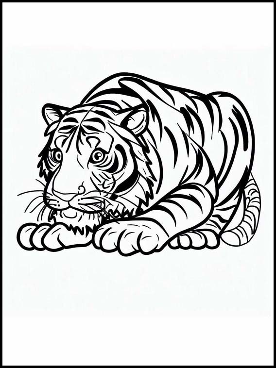 Tiikerit - Eläimet 2
