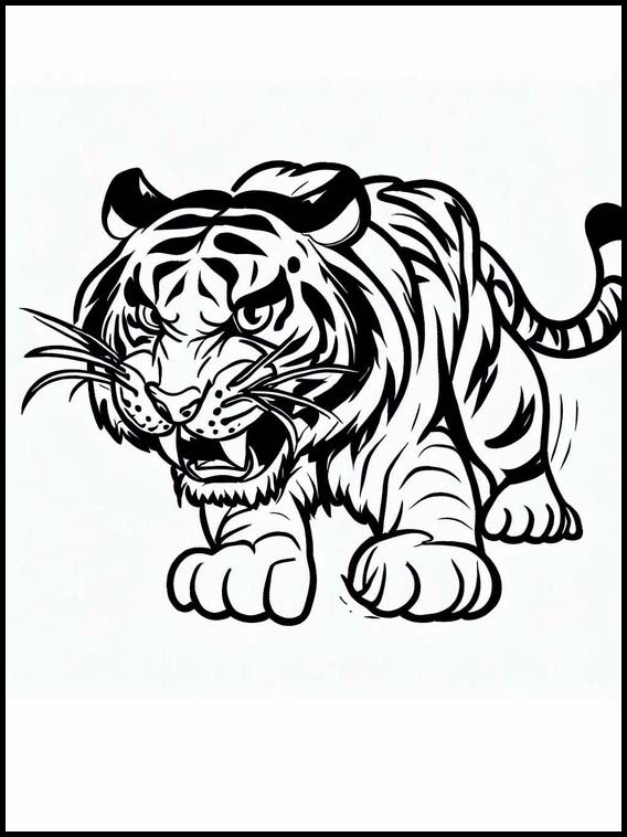 Tiikerit - Eläimet 3