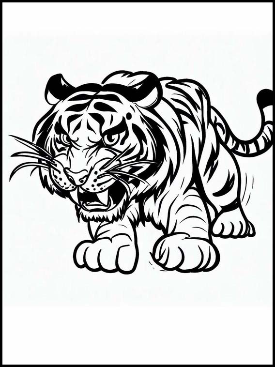 Tiger - Dyr 3