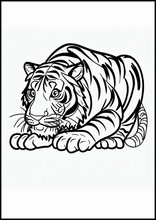 Tigri - Animali2