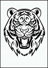 Tigri - Animali4