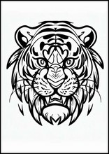 Tigri - Animali5