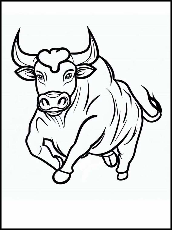 Bulls - Animals 4