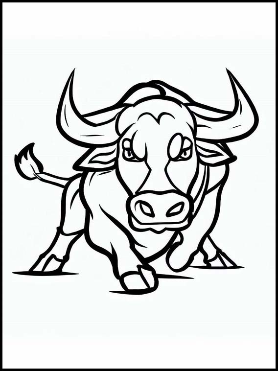 Bulls - Animals 5