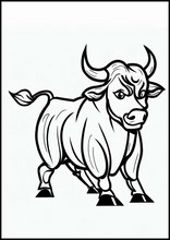 Bulls - Animals1