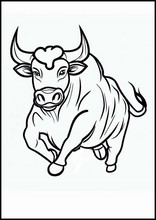 Bulls - Animals4