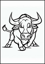 Bulls - Animals5