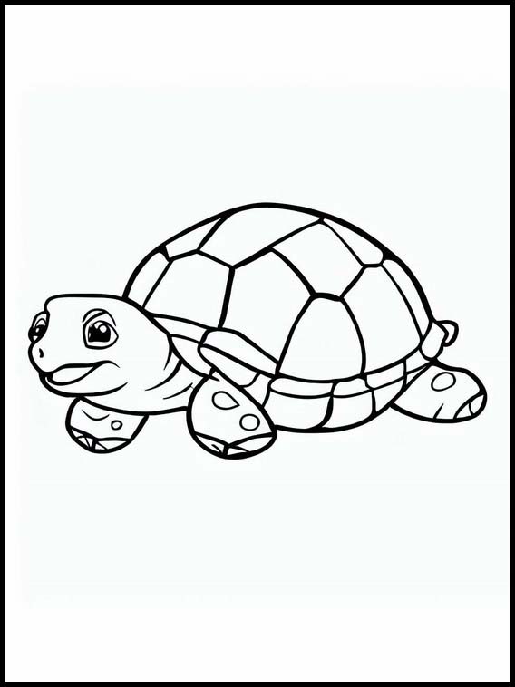 Sköldpaddor - Djur 1