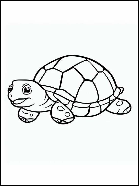 Tortugas - Animales 1