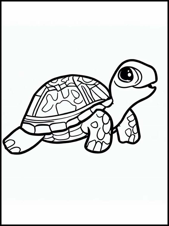 Kilpikonnat - Eläimet 2