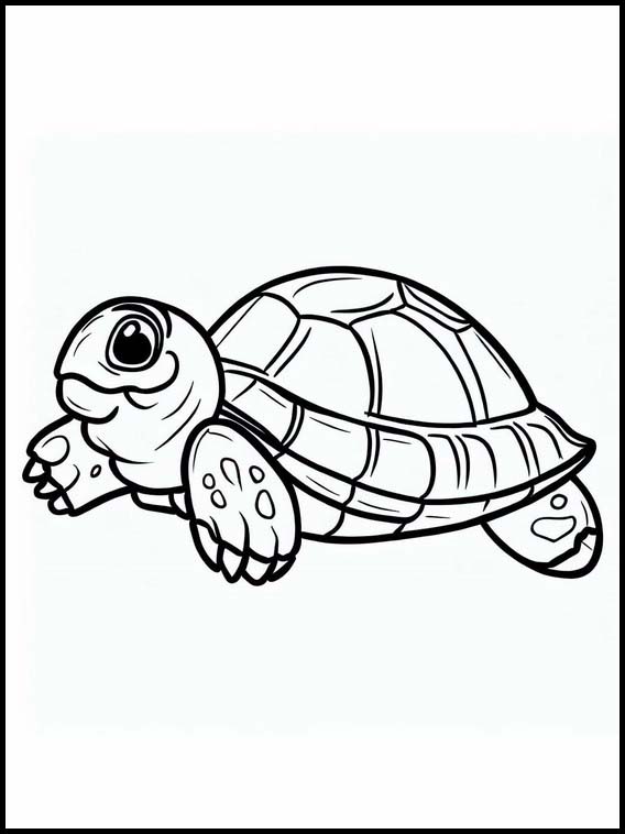 Skildpadder - Dyr 5