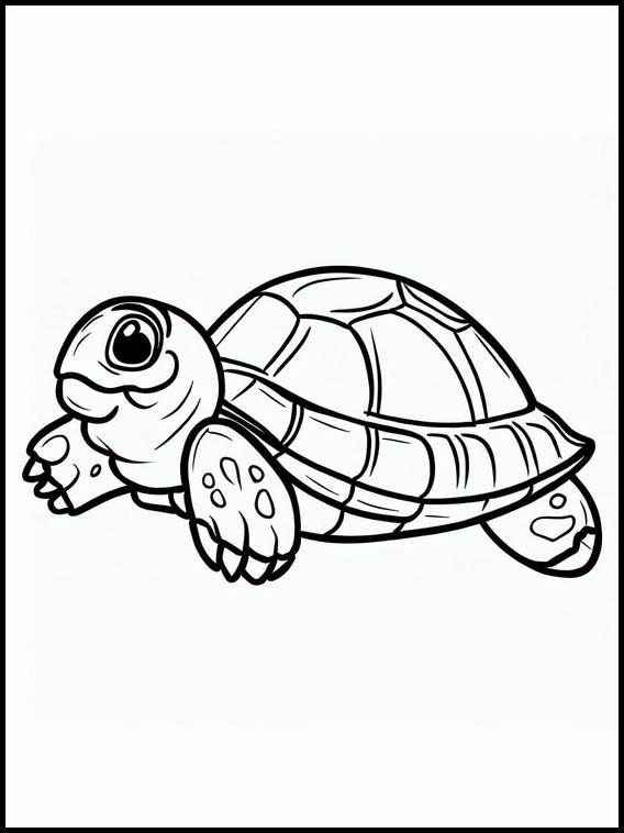 Tortues - Animaux 5