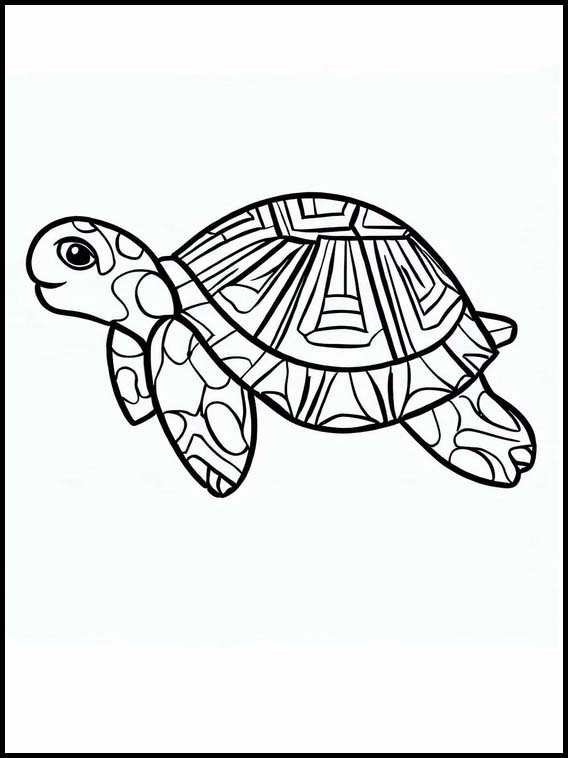 Sköldpaddor - Djur 6