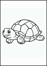 Skildpadder - Dyr1