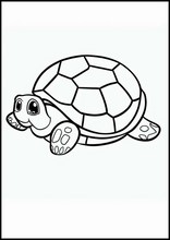 Черепахи - Животные4