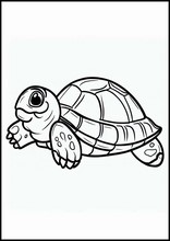 Черепахи - Животные5