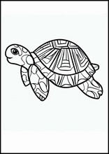 Sköldpaddor - Djur6