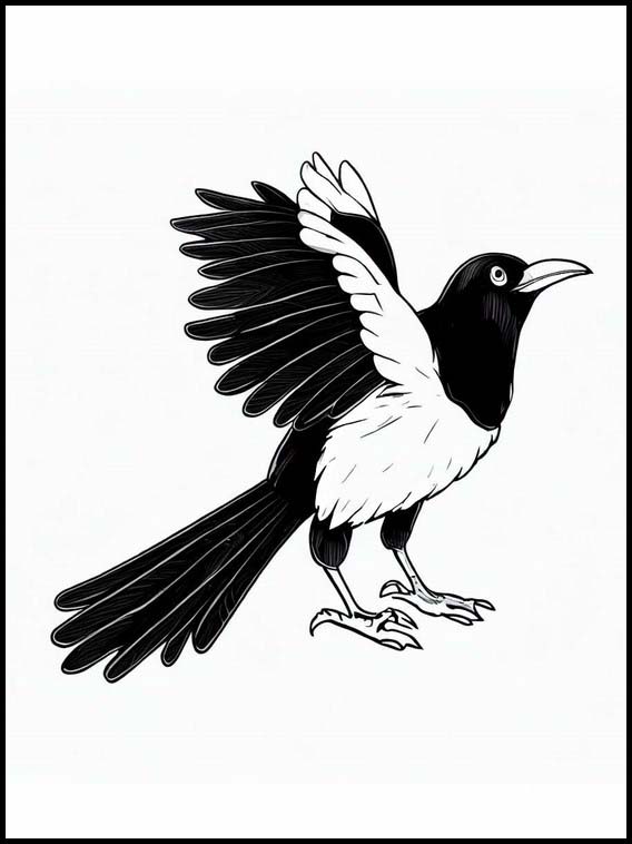 Magpies - Animals 3