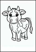 Коровы - Животные4