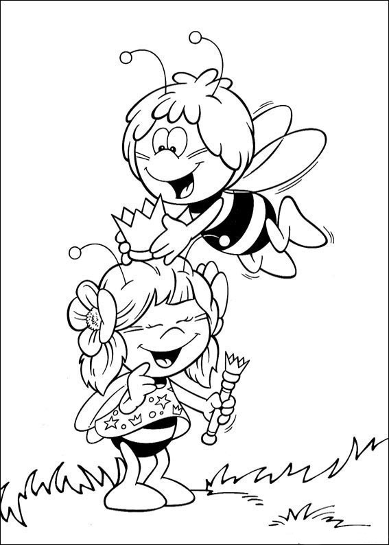 Bee Maya 30
