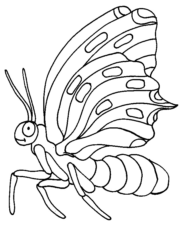Djur 105