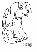 Djur161