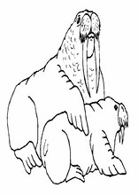 Djur162