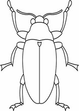 Dyr206