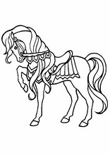 Dyr73