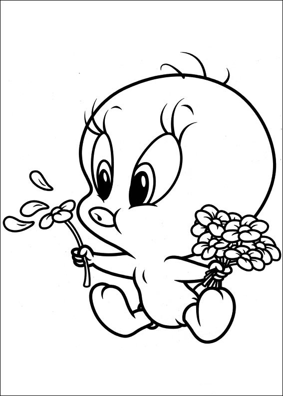 Baba Looney Tunes 15