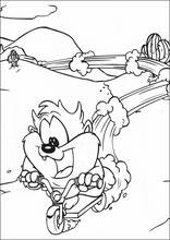 Looney Tunes Bé Bông35