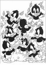 Looney Tunes Bé Bông40