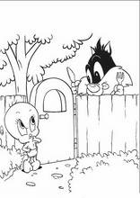 Looney Tunes Bé Bông62