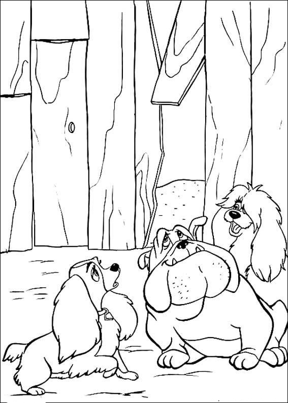 Dáma a Tramp 17