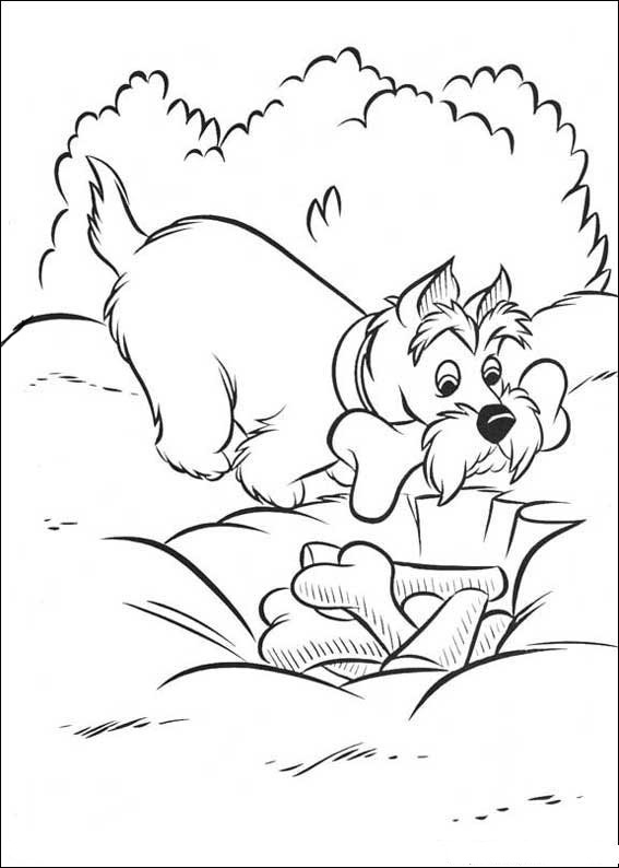Dáma a Tramp 3