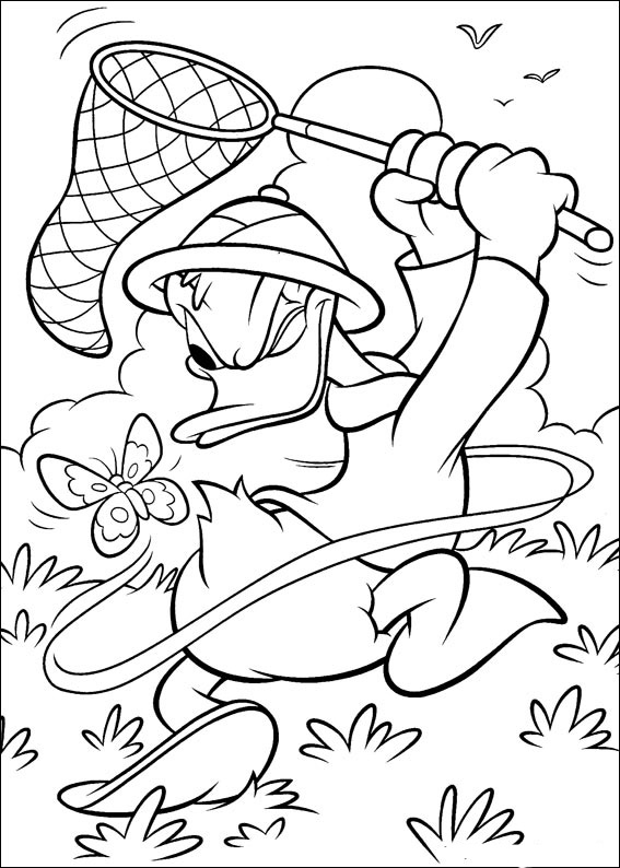 Donald Duck 35