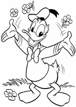 Pato Donald1