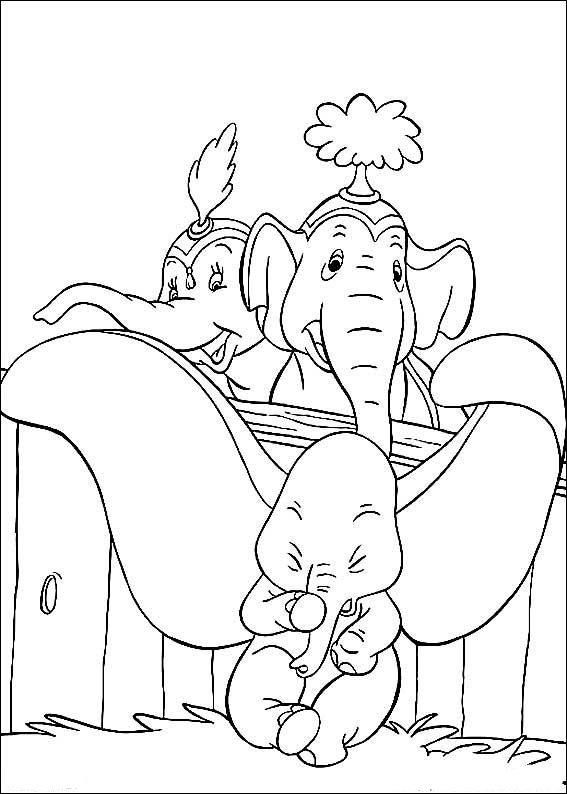 Dumbo 12