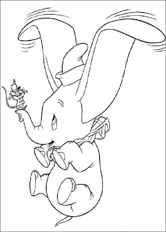 Dumbo 8