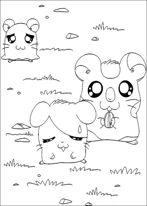 Hamtaro 10