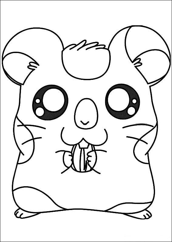 Hamtaro 11