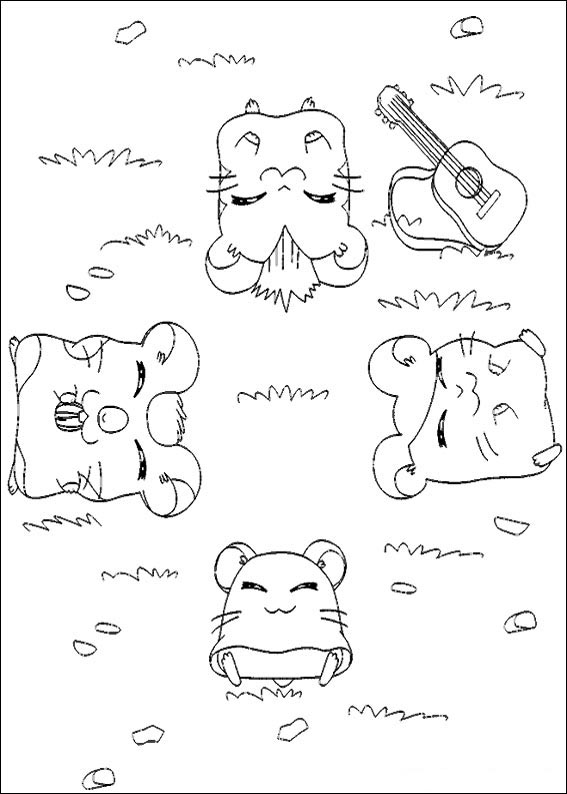 Hamtaro 13