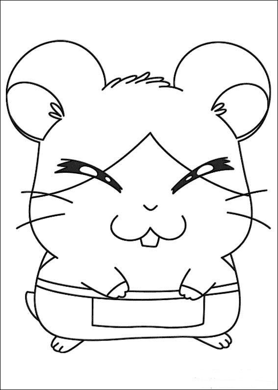 Hamtaro 15